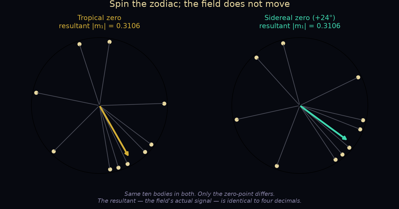 Two side-by-side circular plots. The same ten arrows appear in both, but the right one is rotated 24 degrees. The resultant arrow — the field's signal — has the identical length 0.3106 in both.