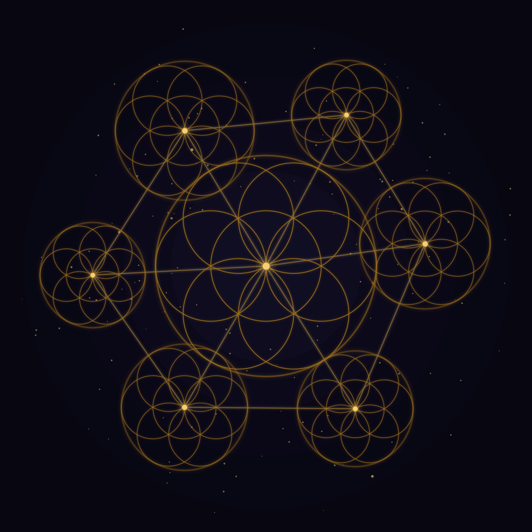 The Constellation — monthly membership to the Scalar Flower field